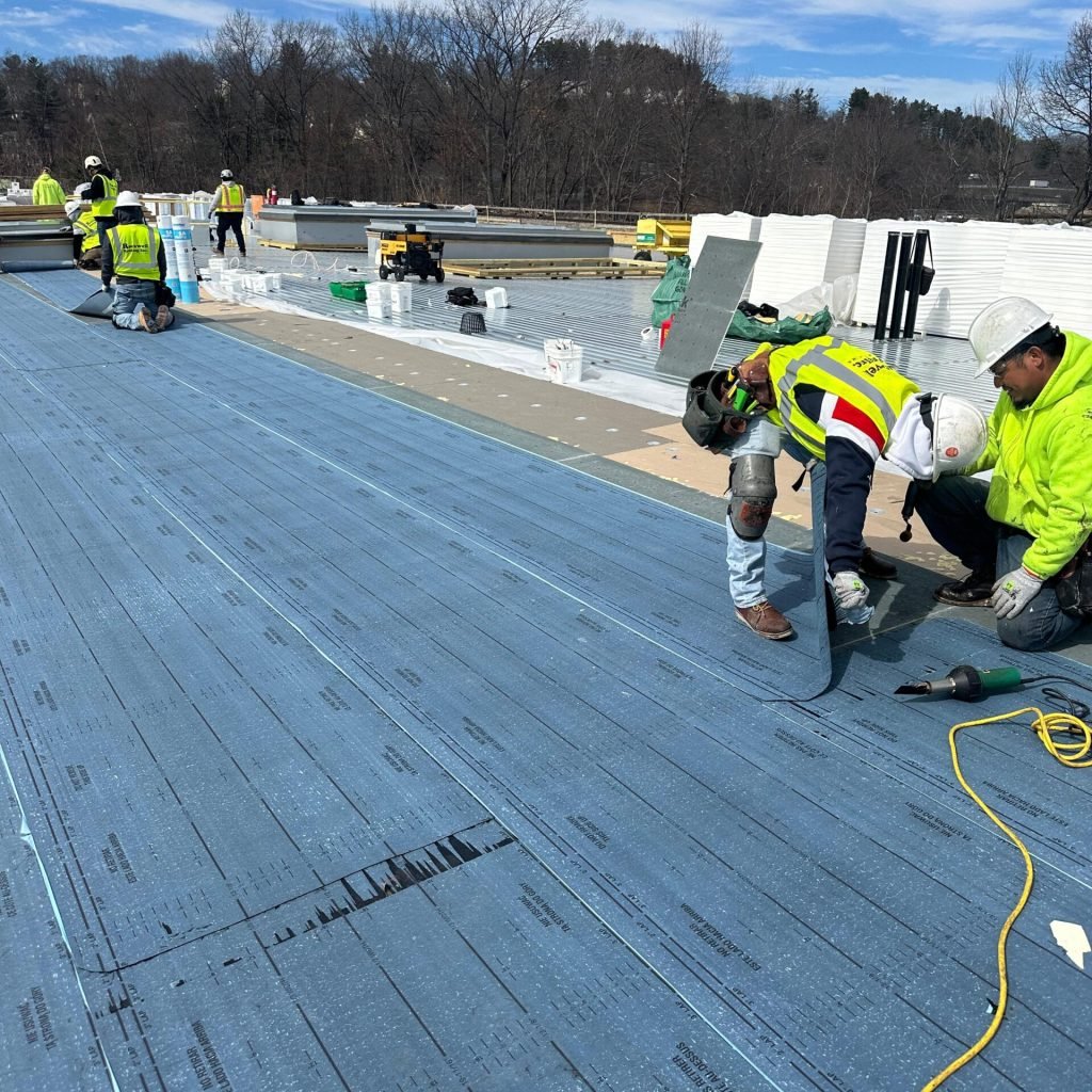 proyect with the team